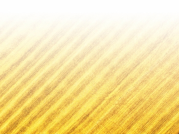 智能農機、“訂單”服務、“云端”種菜——來自江西的春耕“新事”